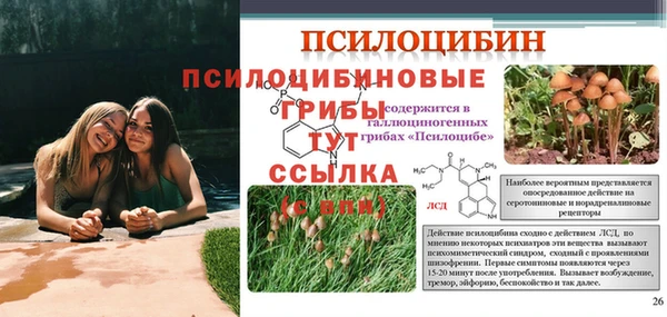 твердый Балахна
