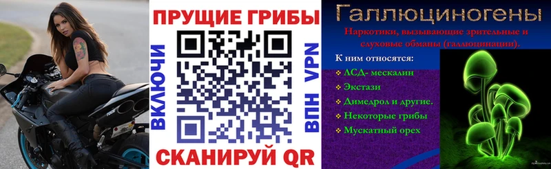 OMG ссылки  как найти   Белый  Галлюциногенные грибы Cubensis 